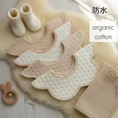 Item thumbnail for item 25ade264-8c2c-4abe-b0ef-44c1f4967568