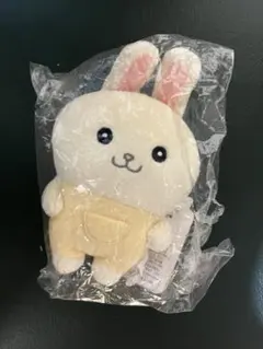 ぽてたま なんとかバニア うさぎのサムネイル
