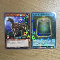 遊戯王 最強ジャンプ 付録 トロイホース 生者の書 禁断の呪術