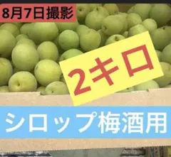 新鮮 青梅 約50個入り 2025年最新】青梅の人気アイテム - メルカリ