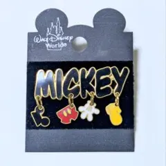 ディズニー ピンバッジ ウォルト・ディズニーワールド限定