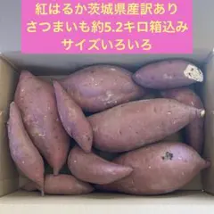 3紅はるか茨城県産訳ありさつまいも約5.2キロ箱込み