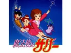 みゃーこ2様専用サリー④⑧