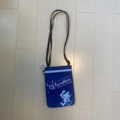 ディズニー　バケパ　バケーションパッケージ　ポーチ