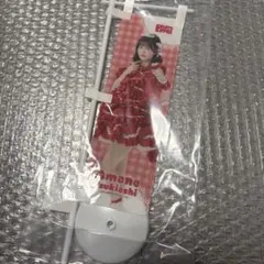 Item thumbnail for item 77240999-01c0-4086-8cfd-e197c27bfce5