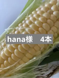 hana様専用ページになります。