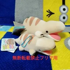新品 つみっこ きょうりゅうじだい きゃんでぃー あぱとさうるす 恐竜