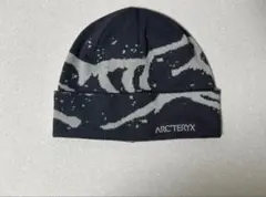 ARC'TERYX GROTTO TOQUE ニット帽 ビーニー