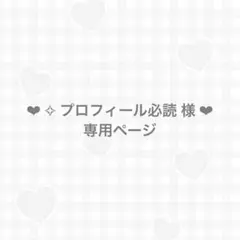 ✧ プロフィール必読 様専用ページ