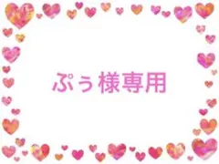 ♡ぷぅ様専用♡