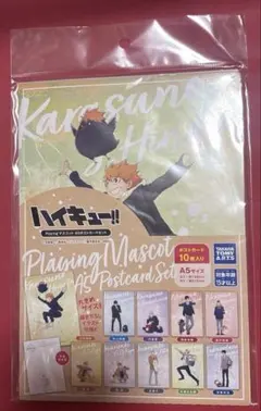 ハイキュー playingマスコット A5ポストカードセット