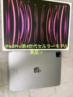 Apple iPad Pro第4世代 11インチ Cellularモデル