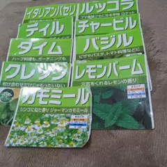 ハーブの種　9種類　　家庭菜園　レモンバーム