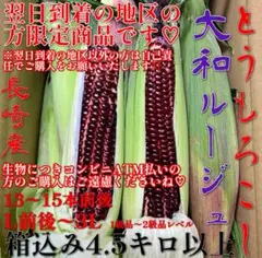 半尻が出ました！君は昼間人気がなかったので〜❤️値下げ刑の処分どす❤️大和ルージュ❤️のサムネイル
