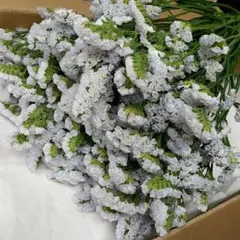 L.p ❣️❣️❣️様 リクエスト 4点 まとめ商品