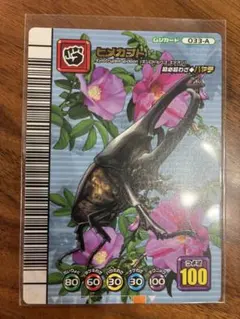 美品】ムシキング 5周年 ヒメカブト アダーコレクション - メルカリ