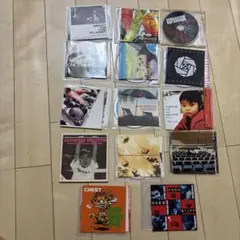 CAPTAIN HEDGE HOG & ASPARAGUS 大量　　まとめ売り