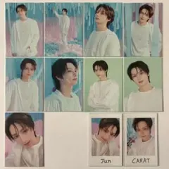 SEVENTEEN ジュン YAKUSOKU トレカ インスタント 11枚