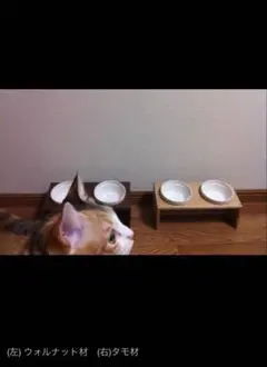 Item thumbnail for item 4df265d7-a4c4-4ee9-a8a5-6fa16ecc08ef