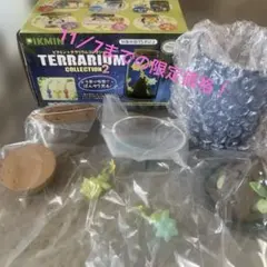 Pikmin テラリウムコレクション2 夜の探索