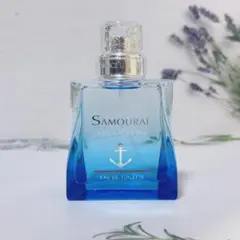 香水3点サムライ EDT100mlライトブリーズ30mlドライビングラッシュ50