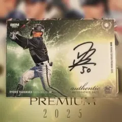 Item thumbnail for item 2e0fd7c8-87ab-47b6-9aae-3a0b393e0add