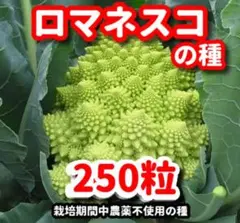 まーくんママ様 リクエスト 4点 まとめ商品
