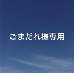 ごまだれ様 リクエスト 4点 まとめ商品