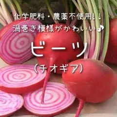 りえ様 リクエスト 4点 まとめ商品