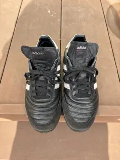 Item thumbnail for item 2b5bc638-3da4-4c22-8896-db9c3240844b