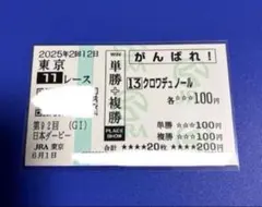 クロワデュノール 日本ダービー がんばれ馬券 応援馬券 現地 - メルカリ