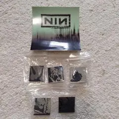 NIN Bad Witch pins (5x) and sticker (6x)