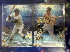 Item thumbnail for item 0c0219cb-fb49-408f-9876-c4585580dd40