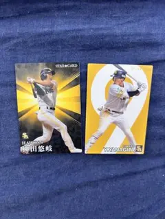 プロ野球チップス 柳田悠岐 STAR CARD 2023 ソフトバンク