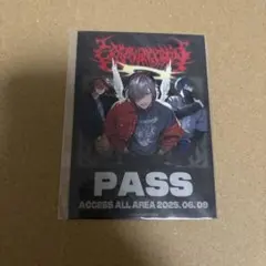CrazyRaccoon ロックの日 ステッカーのサムネイル