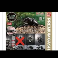 ★ いきもの大図鑑アドバンス コーカサスオオカブト モーレンカンプ 2種セット