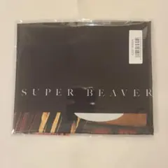 非売品 SUPER BEAVER Acoustic Album I 布ポスター