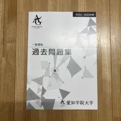愛知学院大学 過去問題集 2024年度