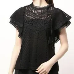 【美品】ANAYI レーススタンドネックブラウス ブラック　38