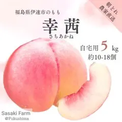 【リピ割】レオ様専用 自宅用【幸茜 5kg 約10-18個】