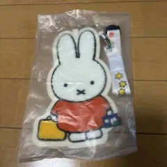 【非売品】ミッフィーパスケーエポスカード入会特典