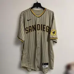 Matchworn チェルシー 25-26 ハト 実使用 ユニフォーム Matchworn チェルシー 25-26 ハト 実使用 ユニフォーム - メルカリ
