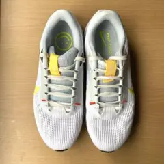 ペガサス40 アウトドアシューズ