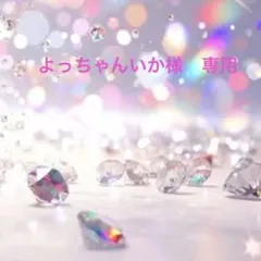 よっちゃんいか様専用