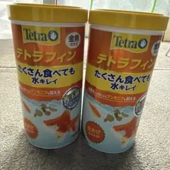 テトラ　テトラフィン　金魚のエサ　180g×2缶のサムネイル