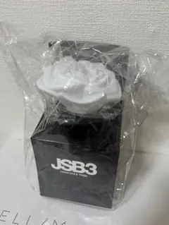 JSB3 Official "MATE" 三代目ペンライトのサムネイル