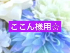 ここん様用☆