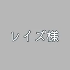 レイズ様　専用ページ