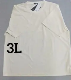 SUREVE　半袖 　Tシャツ 　アイボリー　3L　メンズ　アベイル　しまむら