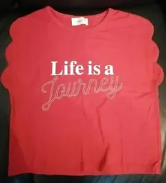 Item thumbnail for item 3bad3f60-1987-4fe5-9131-b92684d15182